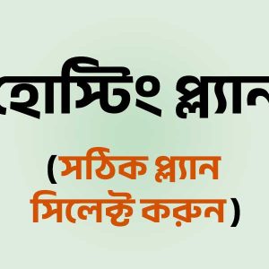 ঝামেলামুক্ত হোস্টিং প্ল্যান দিচ্ছে আইটি হোস্ট বিডি