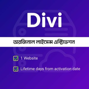 divi-2.0