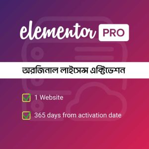 Elementor Pro Genuine Installation Service