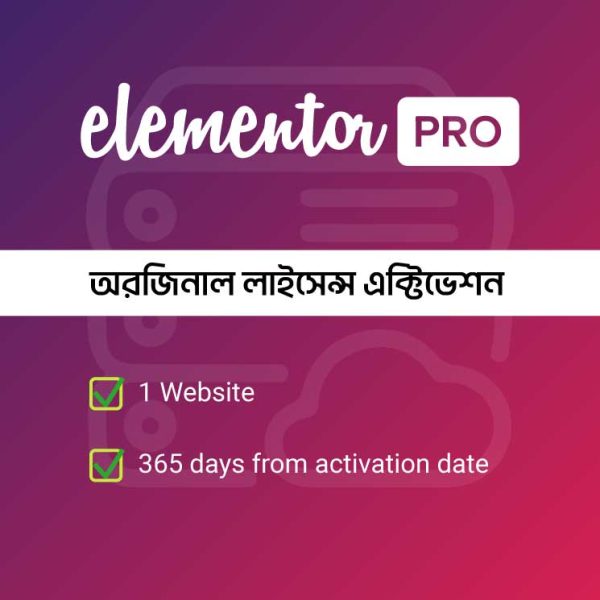 Elementor Pro Genuine Installation Service