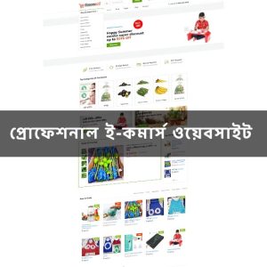 প্রোফেশনাল ওয়েবসাইট অফার প্রোমো